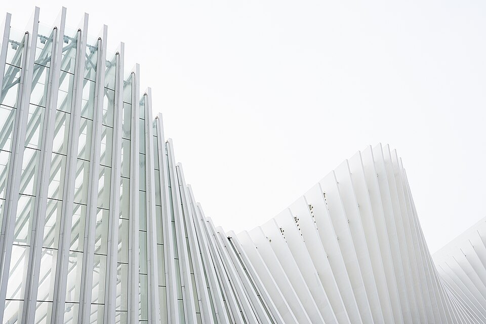 White ribs against cloud