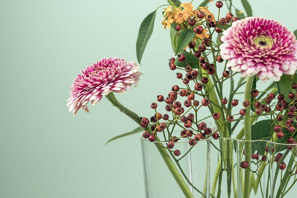 Zinnias against green