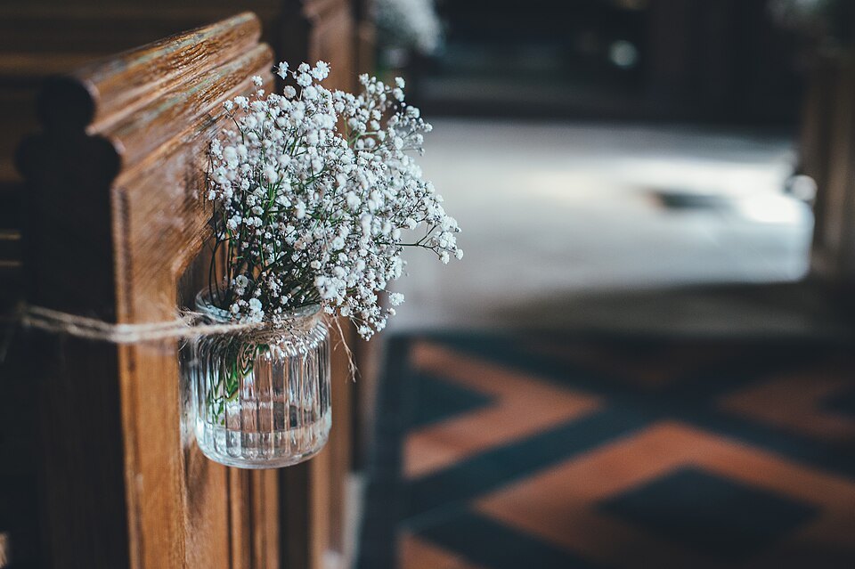 Gypsophila, borrowed jar
