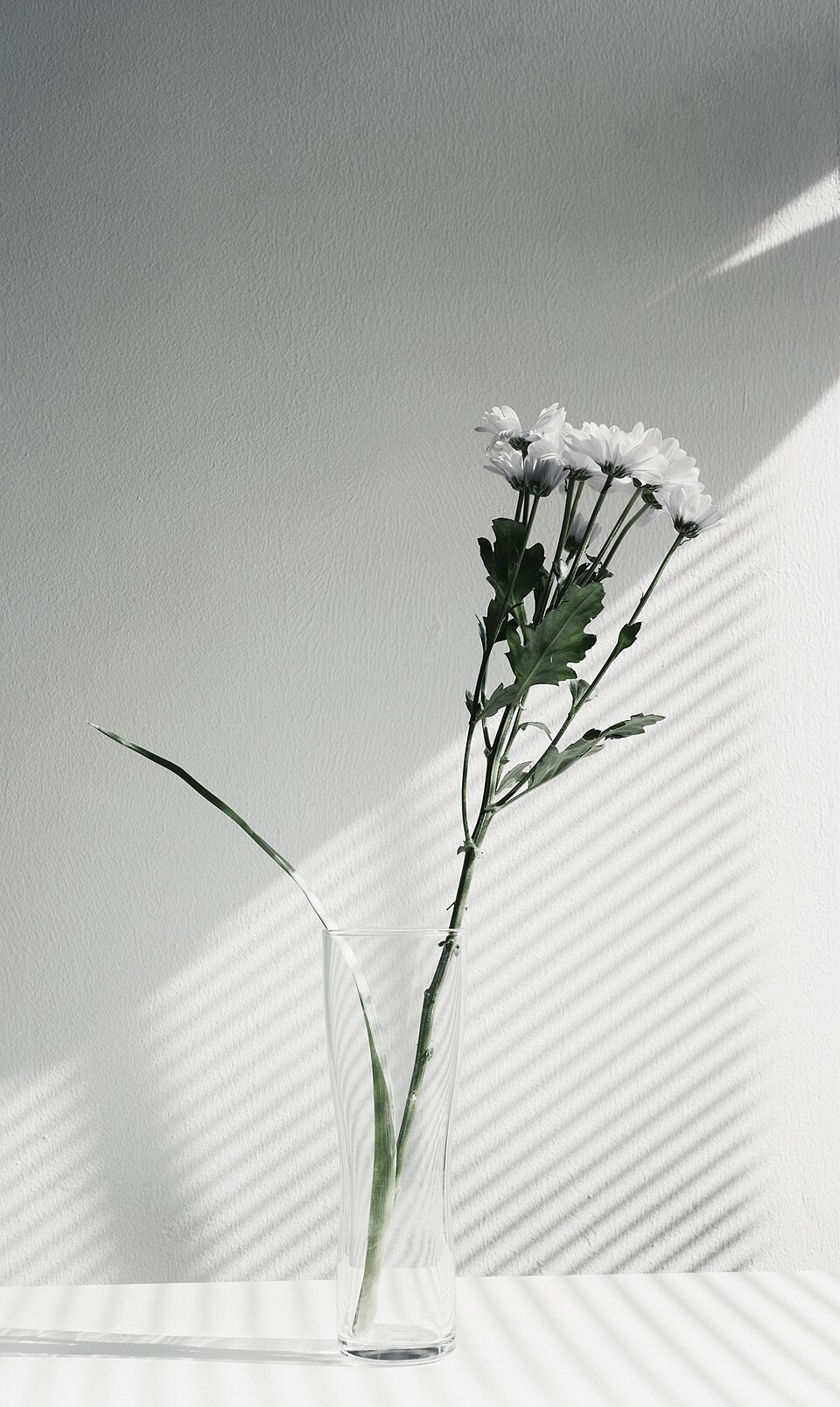 One stem, hard light