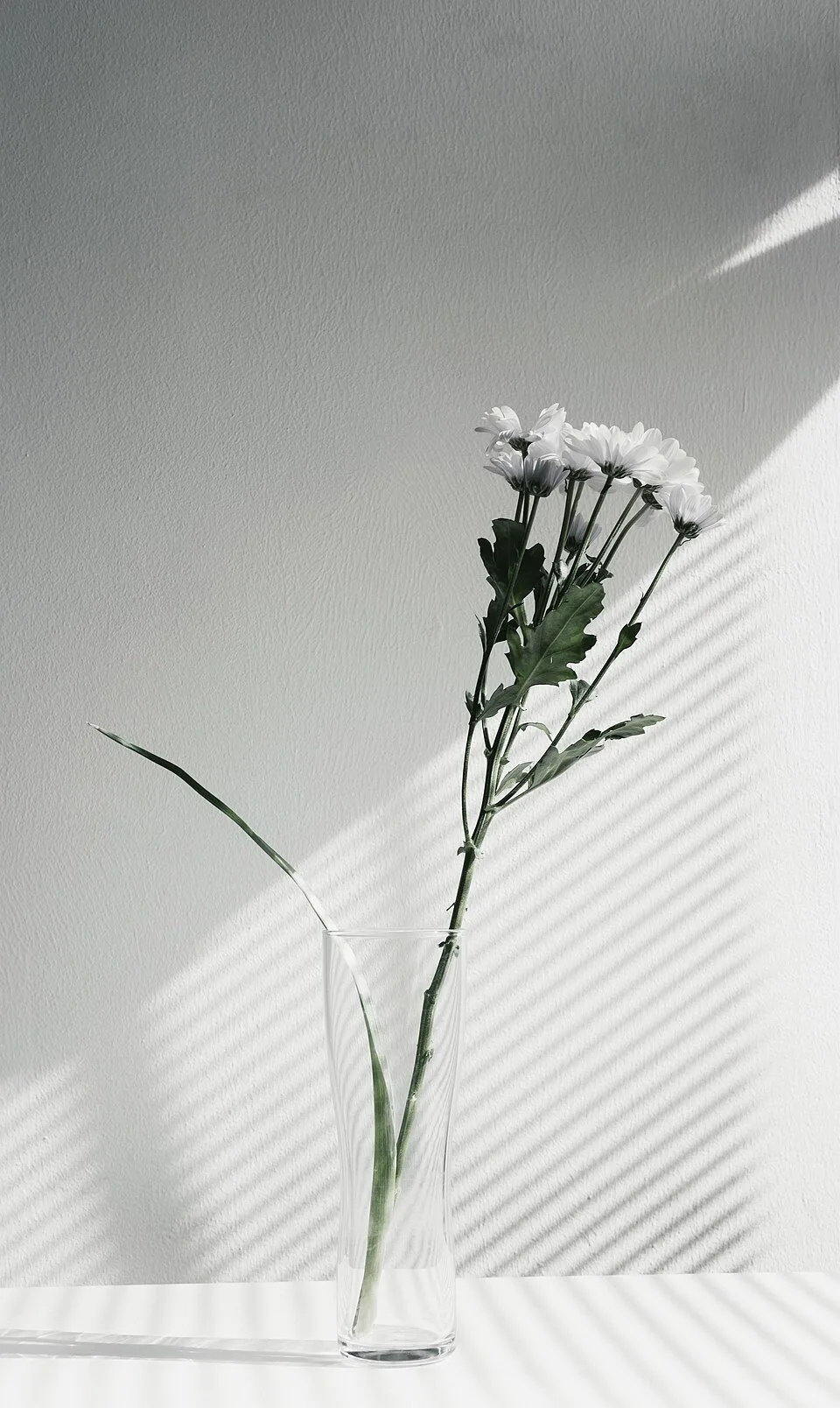 One stem, hard light