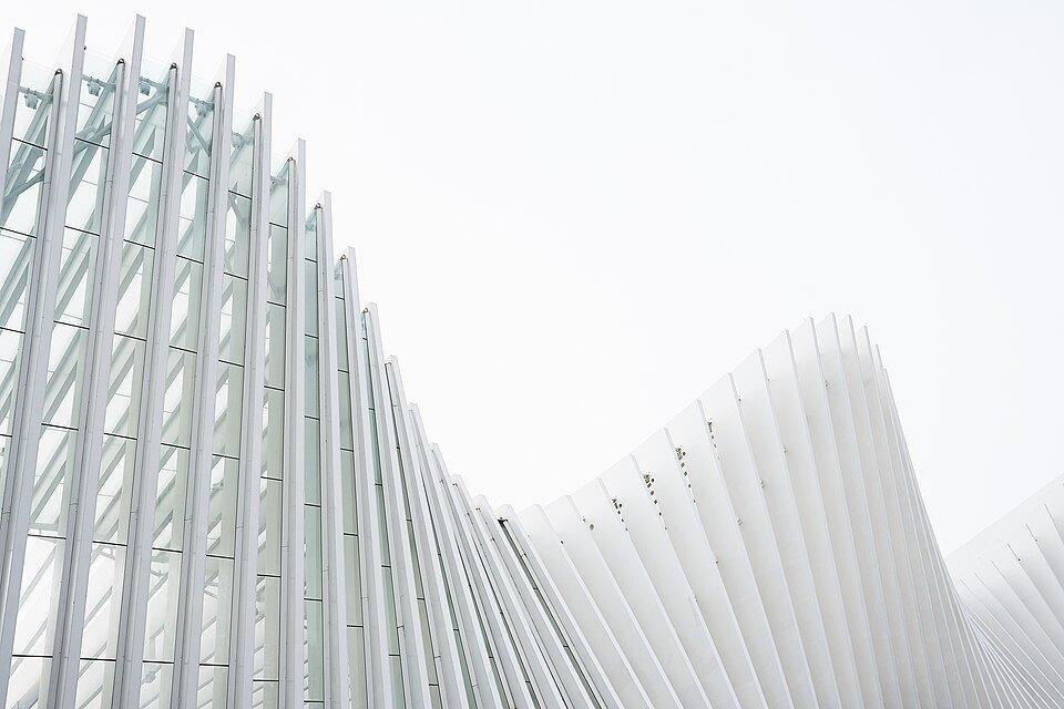 White ribs against cloud