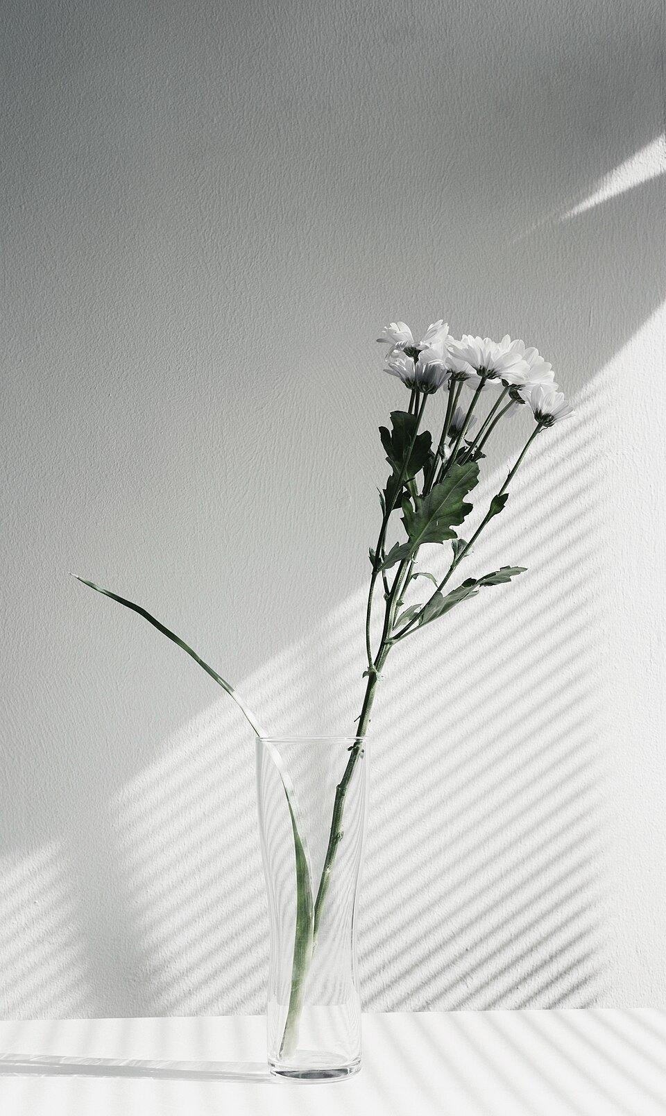 One stem, hard light