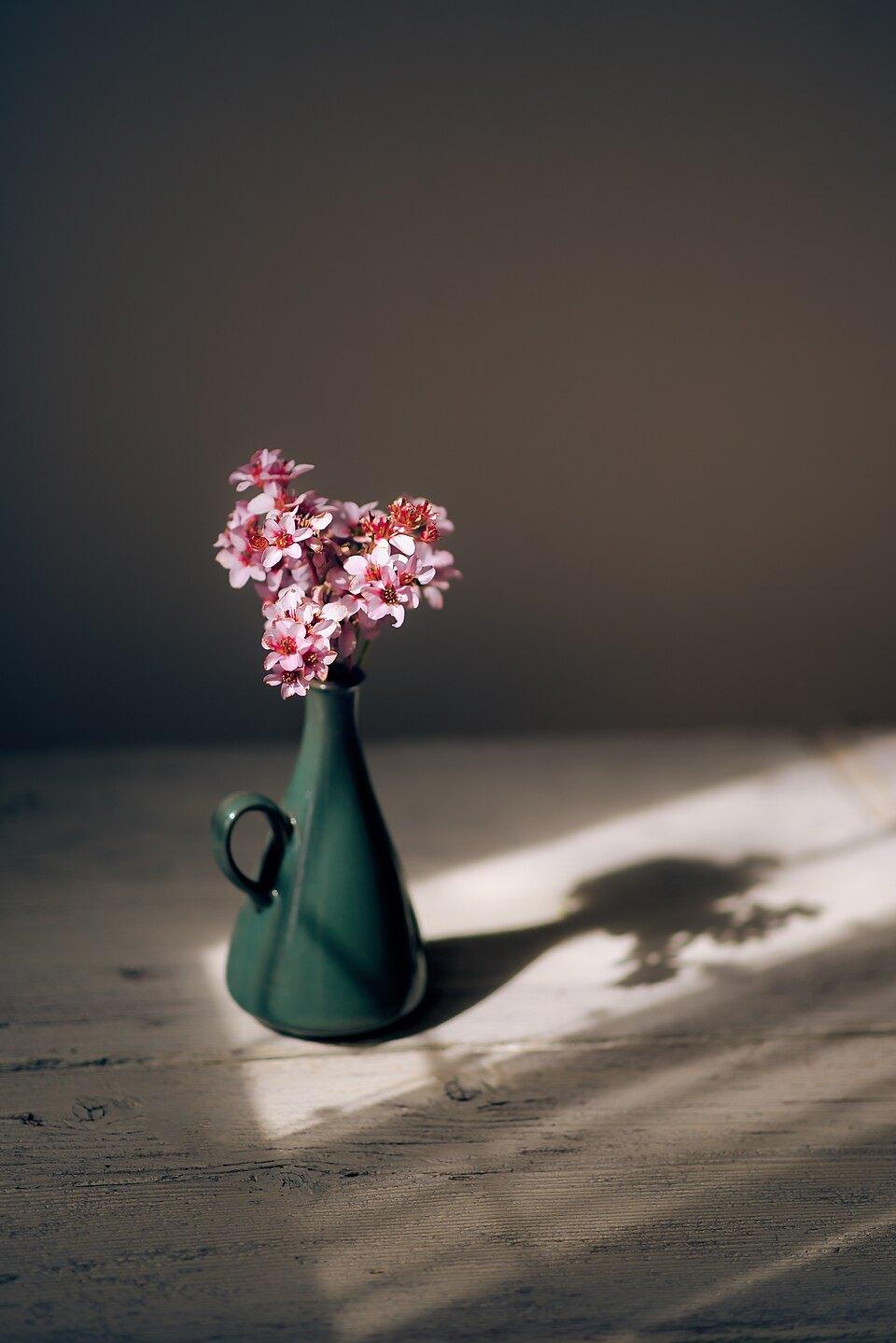 The shadow was the picture